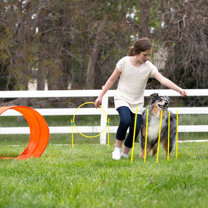 Outward Hound Zip & Zoom dog agility kit in use with tunnel, hoop jump and weave poles