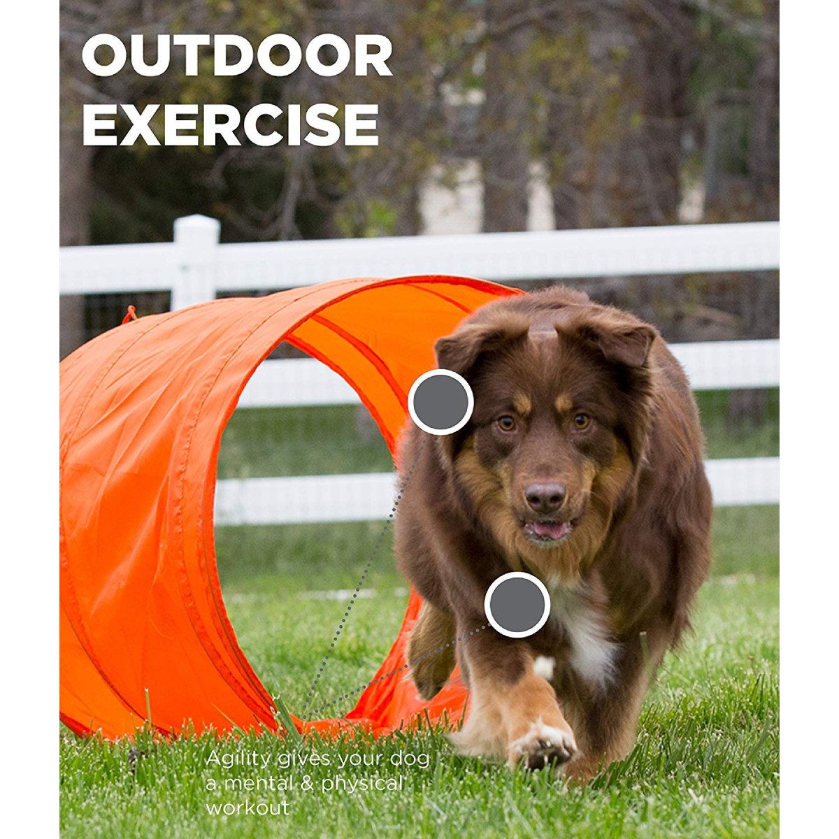 Dog completing the Outward Hound Zip & Zoom agility tunnel during outdoor exercise