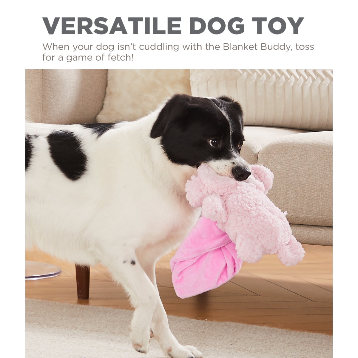 Dog carrying Outward Hound Blanket Buddies Lamb plush toy for gentle fetch and cuddle play