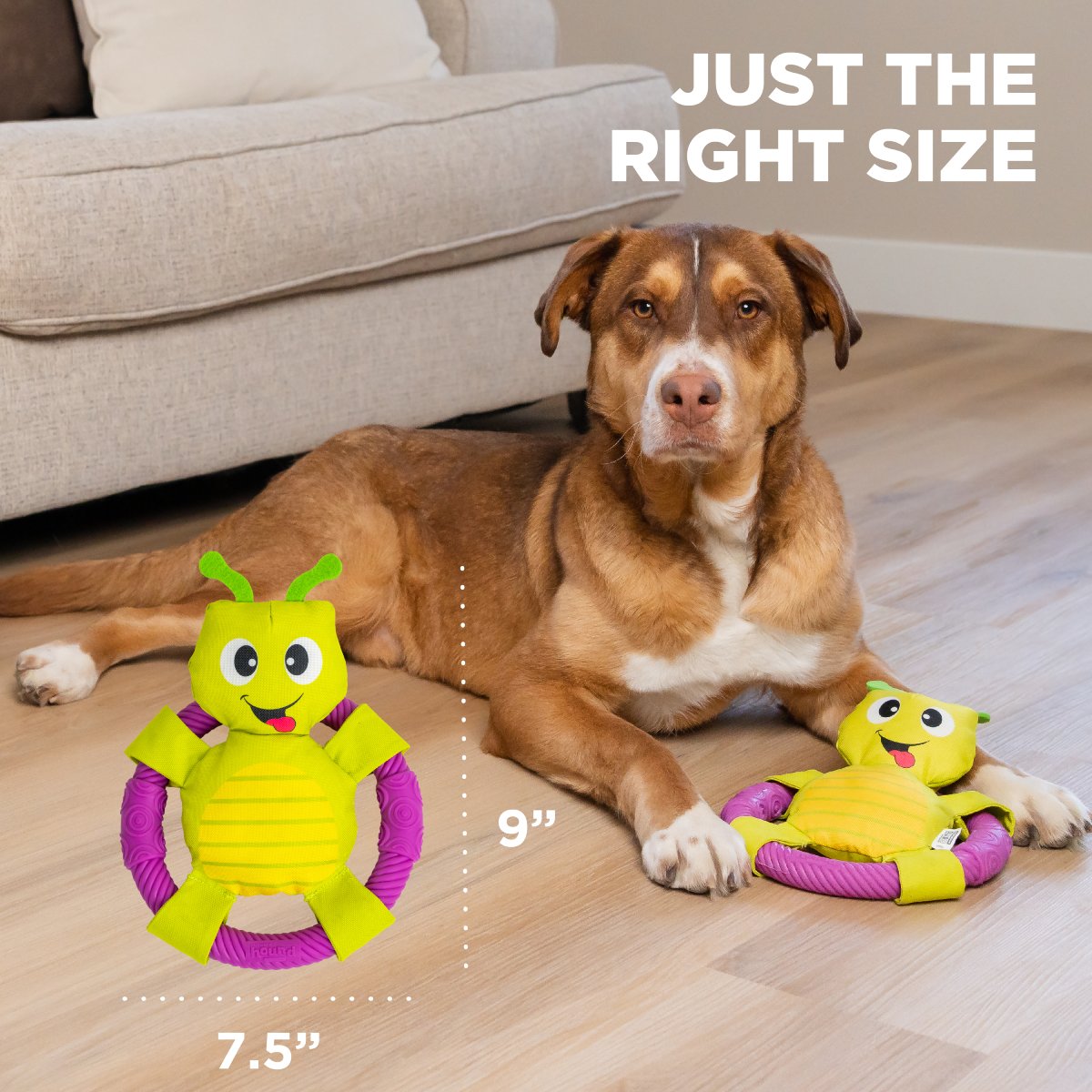 Outward Hound Ring Aroundrz Grasshopper dog toy size guide showing 9 inch length and 7 point 5 inch width