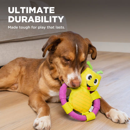 Dog chewing the Outward Hound Ring Aroundrz Grasshopper durable squeaky dog toy