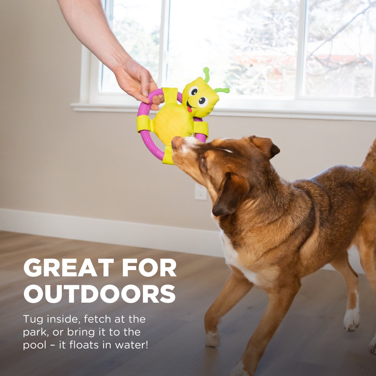 Outward Hound Grasshopper floating dog toy for tug fetch park and outdoor play
