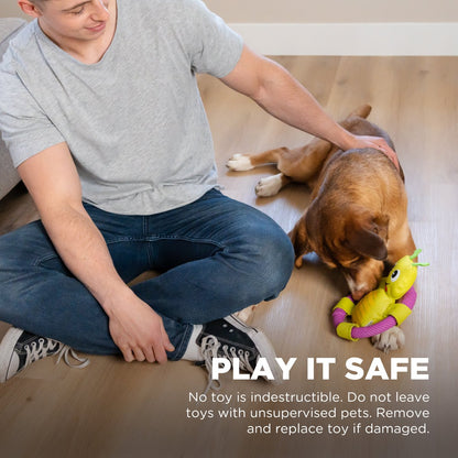Outward Hound Grasshopper dog toy safety reminder for supervised play and replacing damaged toys