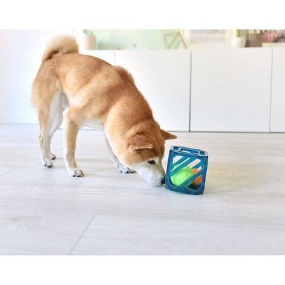 Dog playing with Outward Hound Puzzle Cube interactive ball puzzle toy