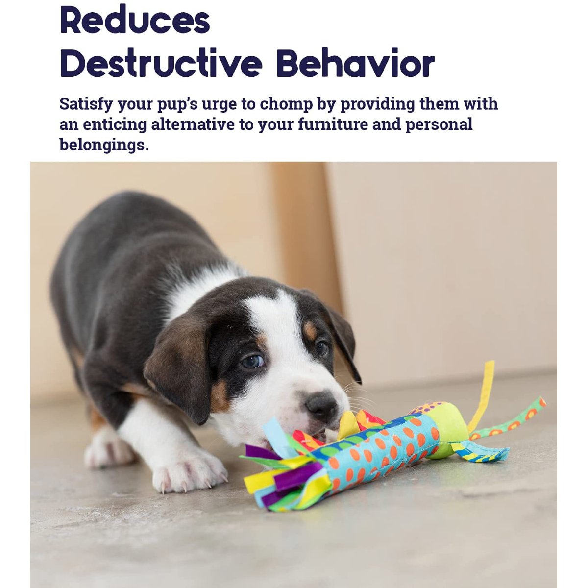 Puppy approaching the Petstages Cool Teething Stick as an alternative during teething