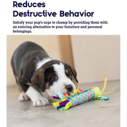 Puppy approaching the Petstages Cool Teething Stick as an alternative during teething