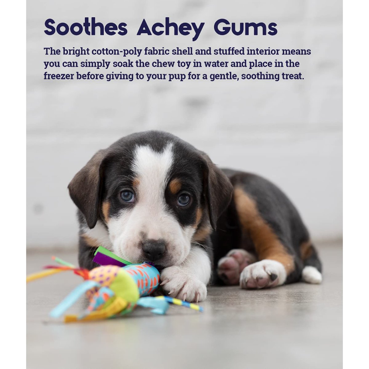 Puppy with the Petstages Cool Teething Stick and information about soaking and freezing it to soothe achy gums