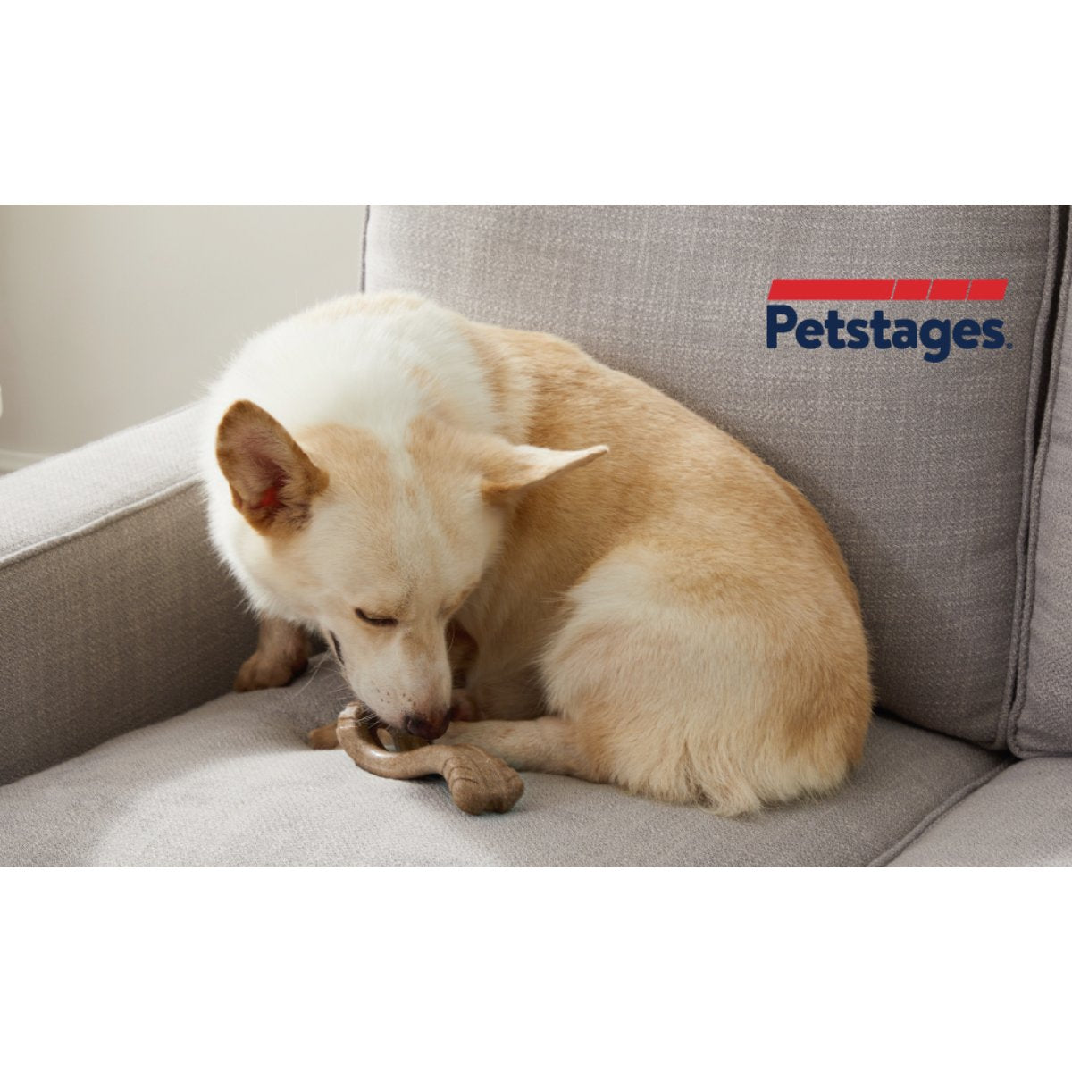 Dog chewing a Petstages Dogwood Flip and Chew toy on a sofa