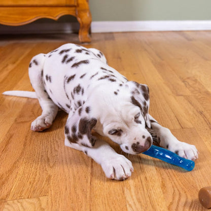 Puppy chewing blue Petstages Dogwood softer TPE chew toy