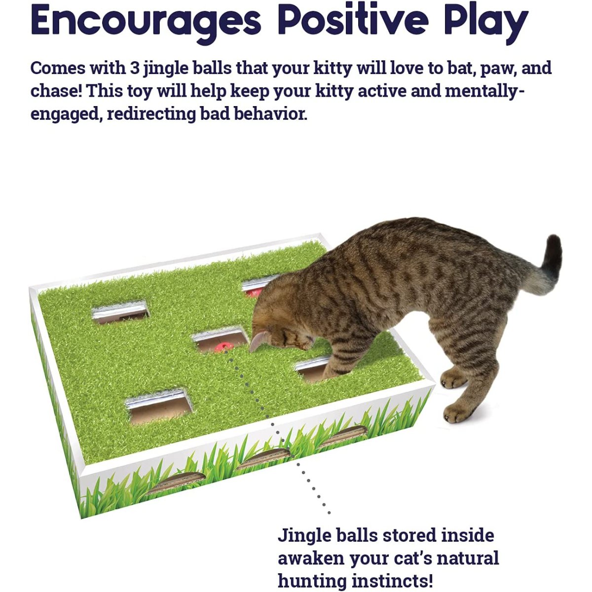 Cat playing with Petstages Grass Patch Hunting Box and jingle balls