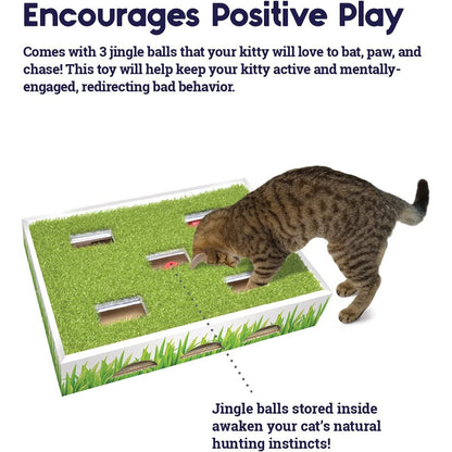Cat playing with Petstages Grass Patch Hunting Box and jingle balls
