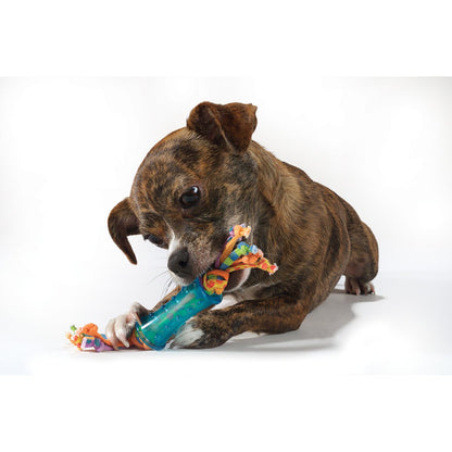 Small dog chewing a blue Petstages Orka Mini Dental chew toy