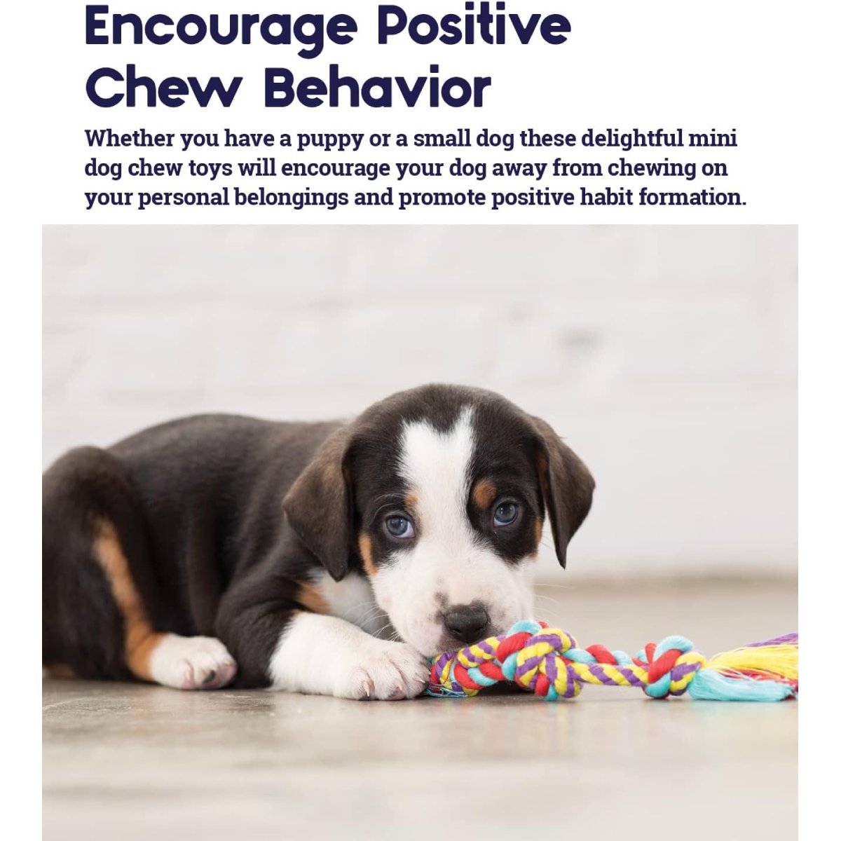 Puppy chewing a Petstages Orka Mini Dental rope toy with positive chew behaviour message