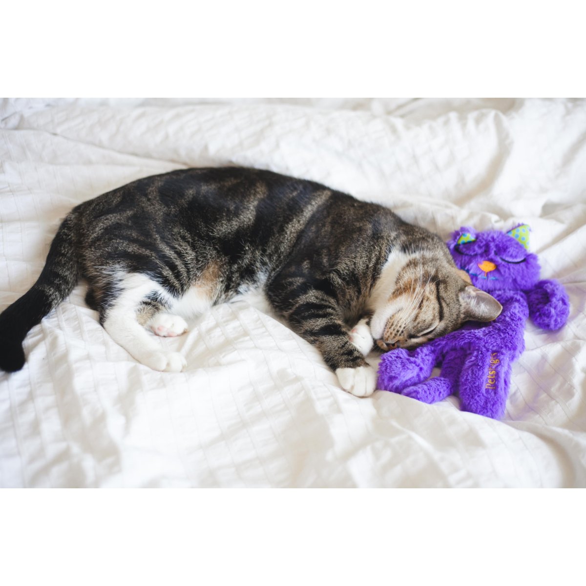 Cat sleeping beside the Petstages Purr Pillow Kitty plush cat toy