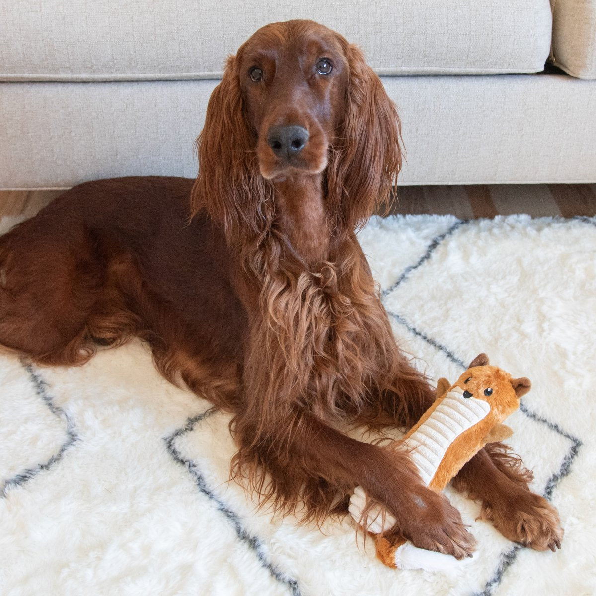 Dog relaxing with Petstages Stuffing-Free Big Squeak Fox plush toy