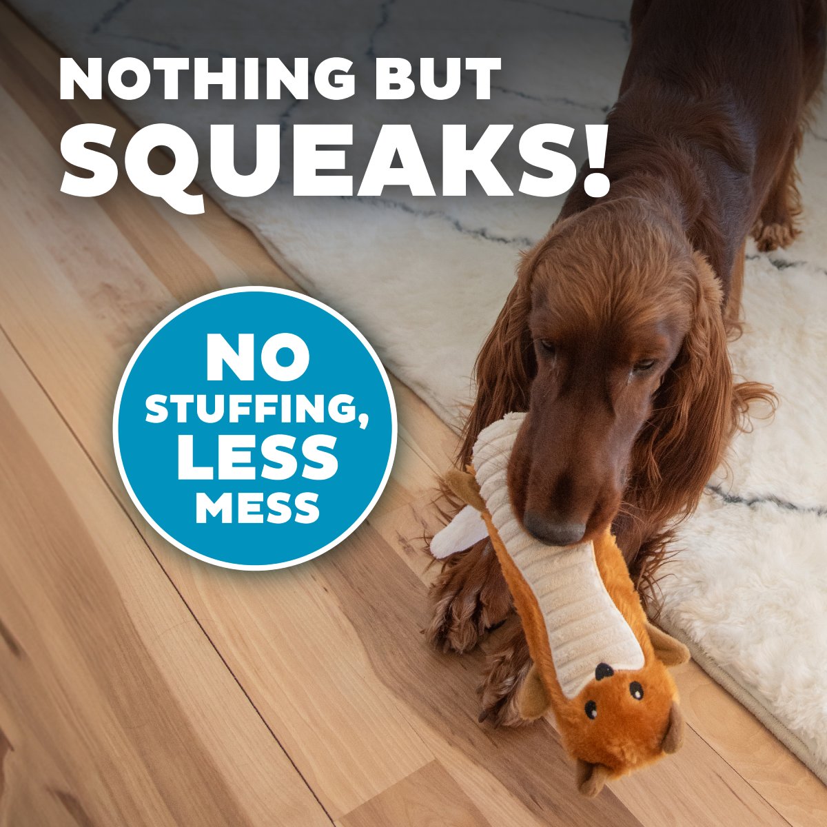 Dog playing with stuffing-free Petstages Big Squeak Fox plush toy