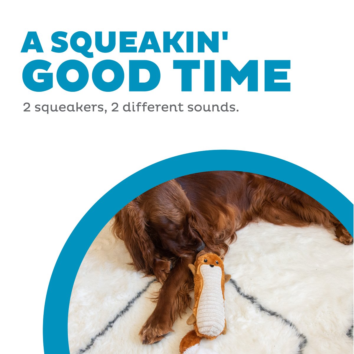 Dog with Petstages Big Squeak Fox showing two different squeakers