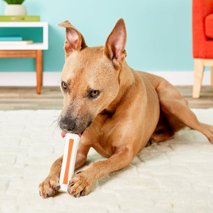 Petstages Beyond Bone dog chew toy showing natural bone meal badge and orange chewy patches