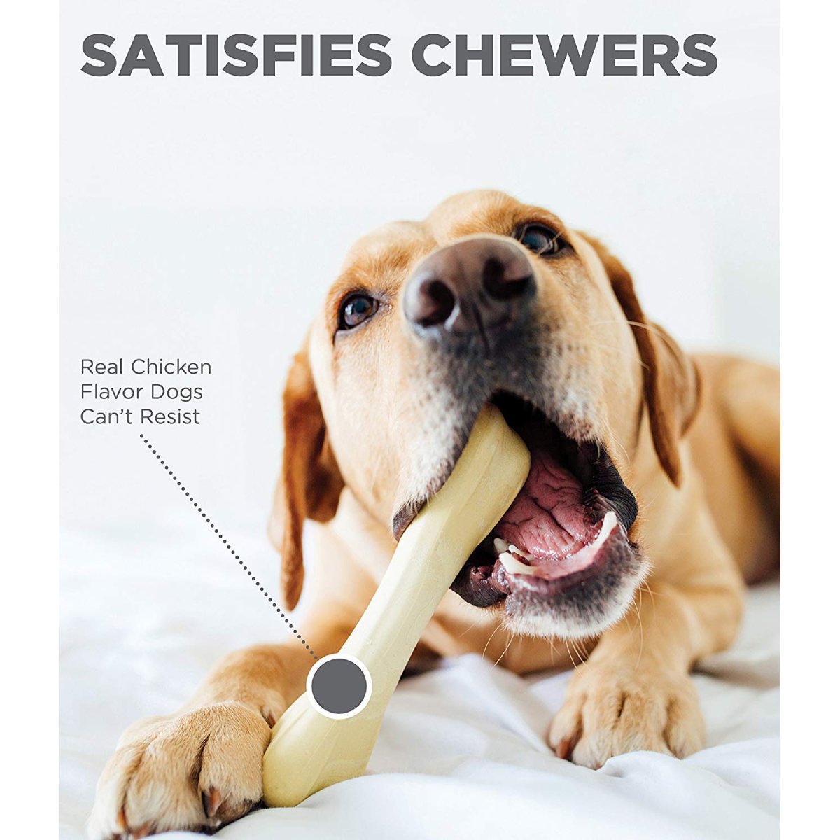 Dog chewing Petstages Chick-a-Bone chicken flavour dog chew toy for satisfying chew time