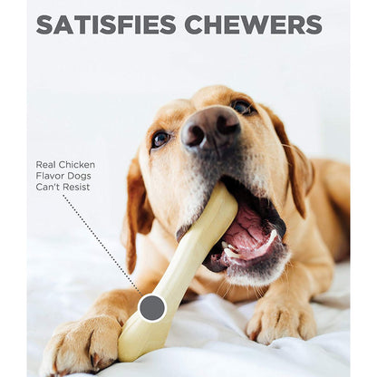 Dog chewing Petstages Chick-a-Bone chicken flavour dog chew toy for satisfying chew time
