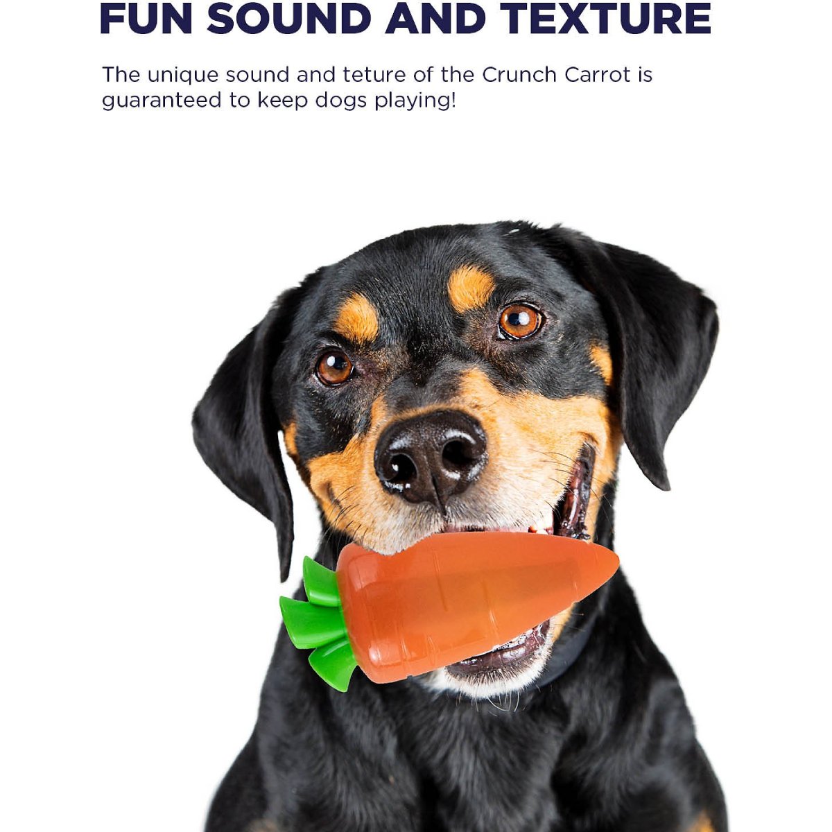 Dog holding Petstages Crunch Veggies Carrot crunchy dog chew toy during supervised play