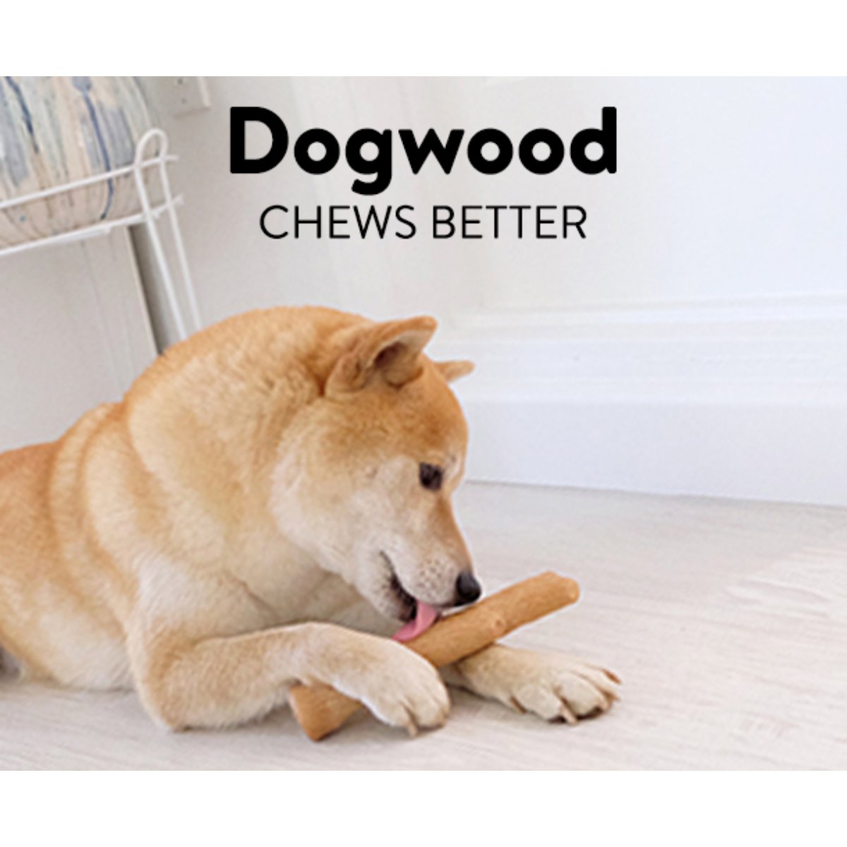 Dog chewing Petstages Dogwood stick-style chew toy with real wood flavour