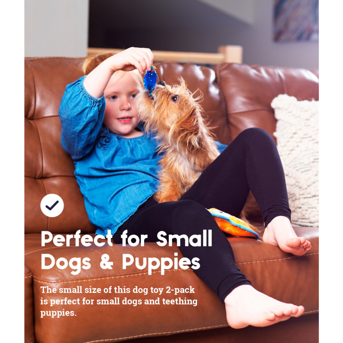 Small dog and child playing with Petstages Mini ORKA and Friends Fox toy set for puppies and small dogs