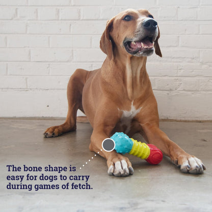 Dog playing with Petstages Multi-Squeak Bone toy for fetch and supervised chew play