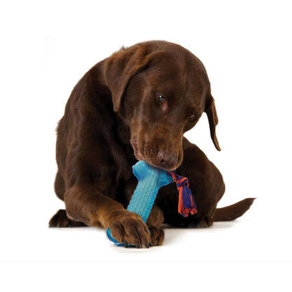Dog chewing Petstages ORKA Bone blue rubber chew toy with rope for dental play