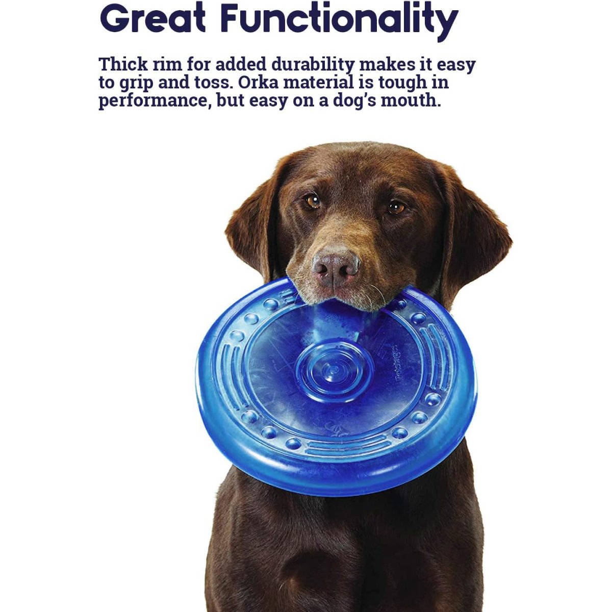 Dog carrying Petstages ORKA Flyer royal blue flying disc toy for interactive outdoor play
