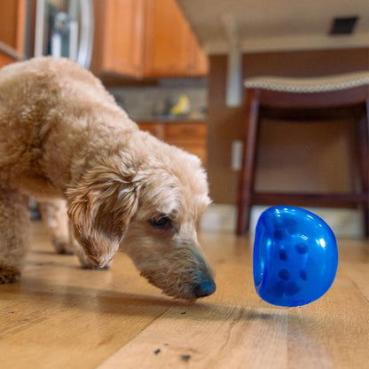 Dog playing with blue Petstages Planet Dog Lil Snoop puzzle toy for sniffing pawing and treat rewards