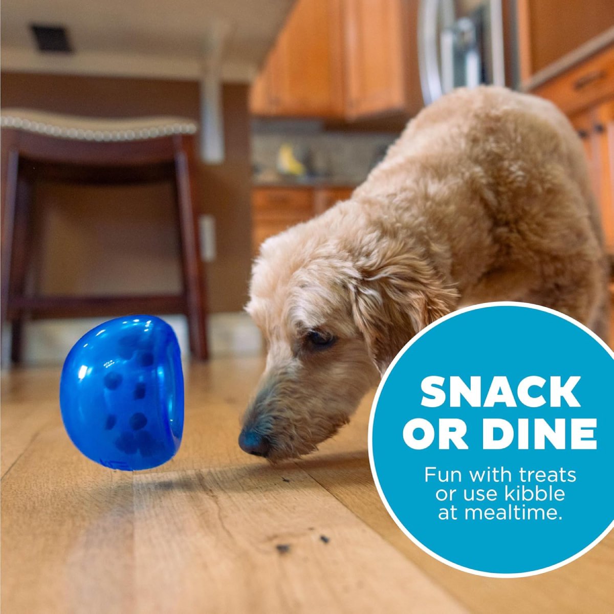 Dog using blue Petstages Planet Dog Lil Snoop treat toy for snack time or kibble enrichment play
