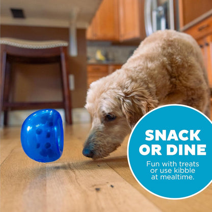 Dog using blue Petstages Planet Dog Lil Snoop treat toy for snack time or kibble enrichment play