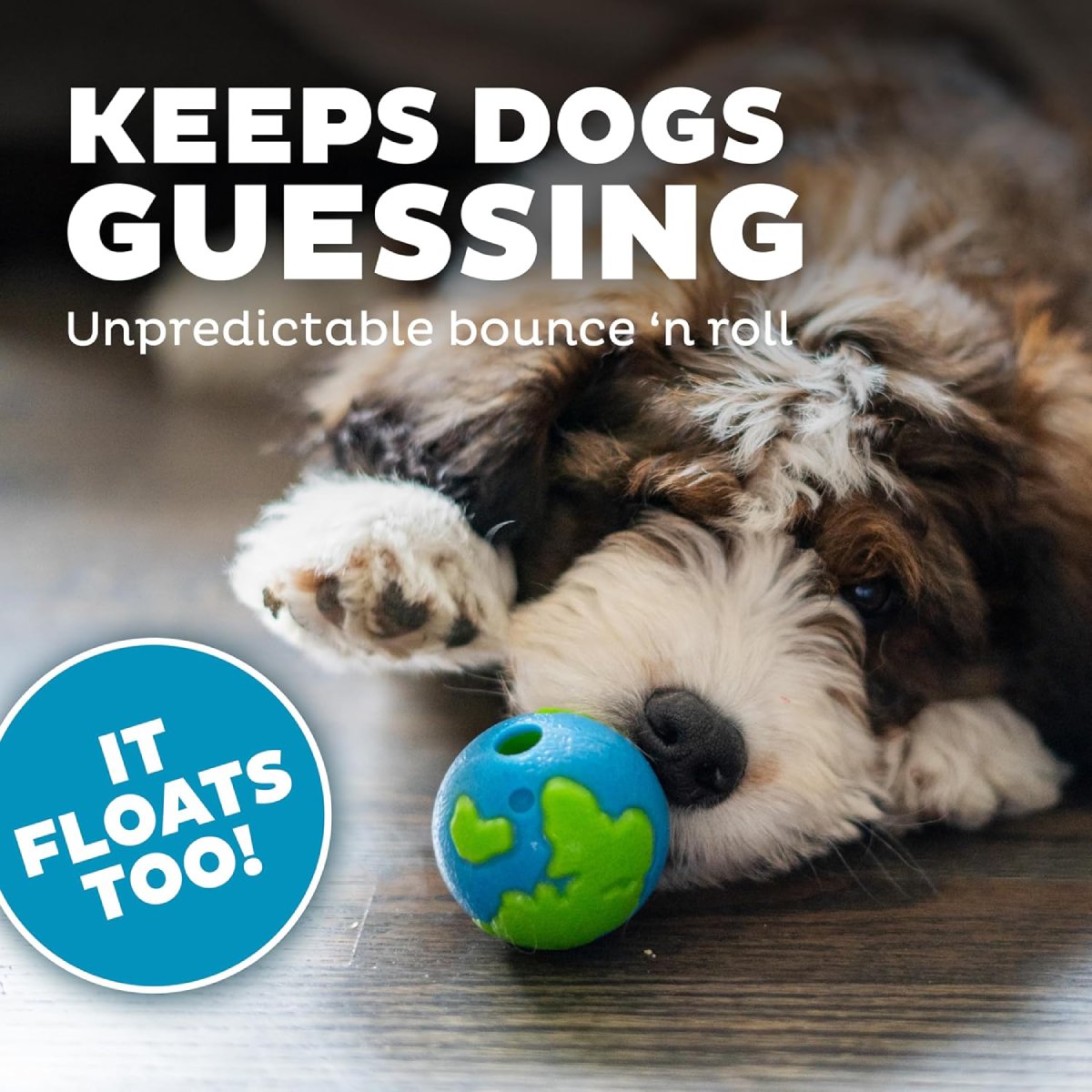 Dog playing with Petstages Planet Dog Orbee Ball Blue Green showing unpredictable bounce and floating treat ball play