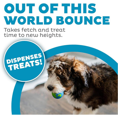 Dog carrying Petstages Planet Dog Orbee Ball Blue Green treat dispensing toy for bouncy fetch and reward play