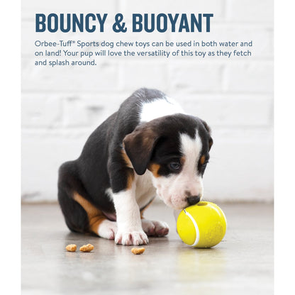 Puppy playing with Petstages Planet Dog tennis ball treat dispenser for bouncy and buoyant fetch play