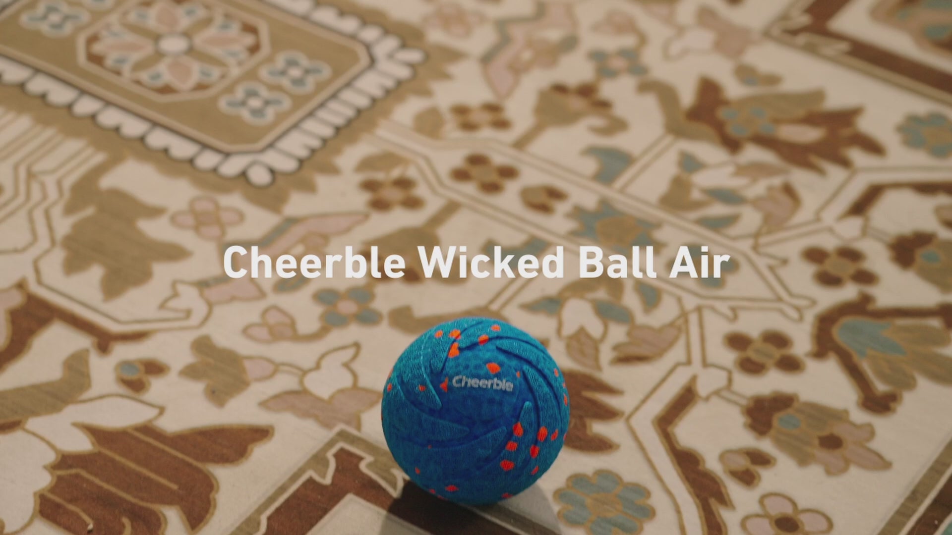 Video showing Cheerble Wicked Ball AIR moving automatically and switching between normal passive and gentle modes