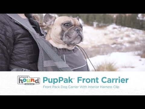 Outward Hound PupPak Front Carrier in use with a small dog, showing the grey hands-free dog carrier and adjustable straps