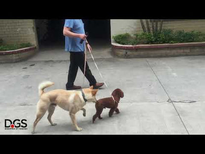 i'm Gismo Dual Leash Carabiner Connector used to walk two dogs with one hand