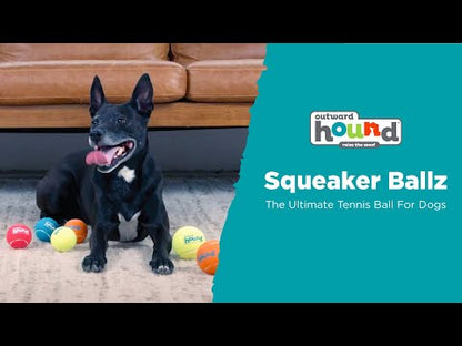 Outward Hound Squeaker Ballz squeaky dog fetch balls in use during indoor and outdoor play