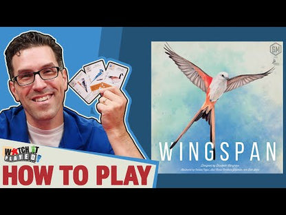 Wingspan Revised Edition how to play strategy board game video