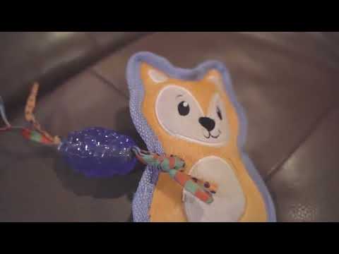 Petstages Mini ORKA and Friends Fox video showing a small dog playing with the chew toy and squeaky plush, with educational text about puppy chewing, gum massage and small dog play.