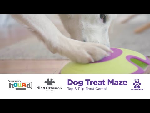 nina-ottosson-treat-maze-dog-puzzle-in-use-video