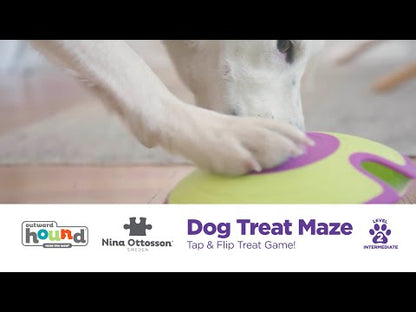 nina-ottosson-treat-maze-dog-puzzle-in-use-video