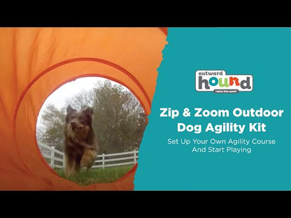 Dog using the Outward Hound Zip & Zoom adjustable hoop jump with agility tunnel nearby