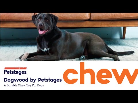 Petstages Dogwood Original and Fresh Breath large dog chew toys shown in use by a dog