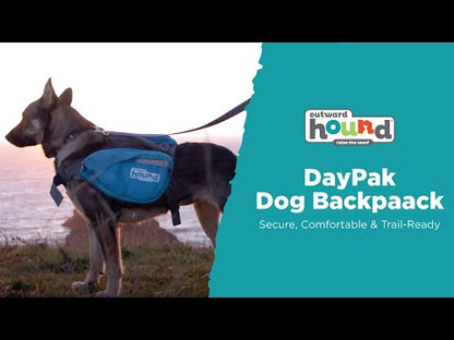 Outward Hound DayPak Saddleback Dog Backpack in use on a dog, showing the blue saddlebag design during outdoor activity