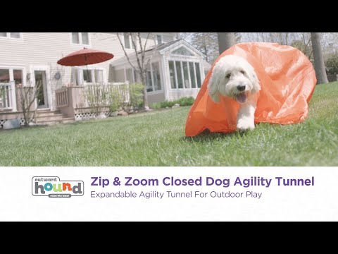 Outward Hound Zip & Zoom Closed Dog Agility Tunnel in use for outdoor dog agility training