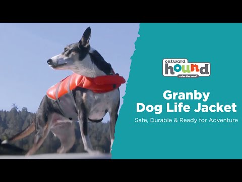Outward Hound Granby Splash orange dog life jacket shown in use during water activities