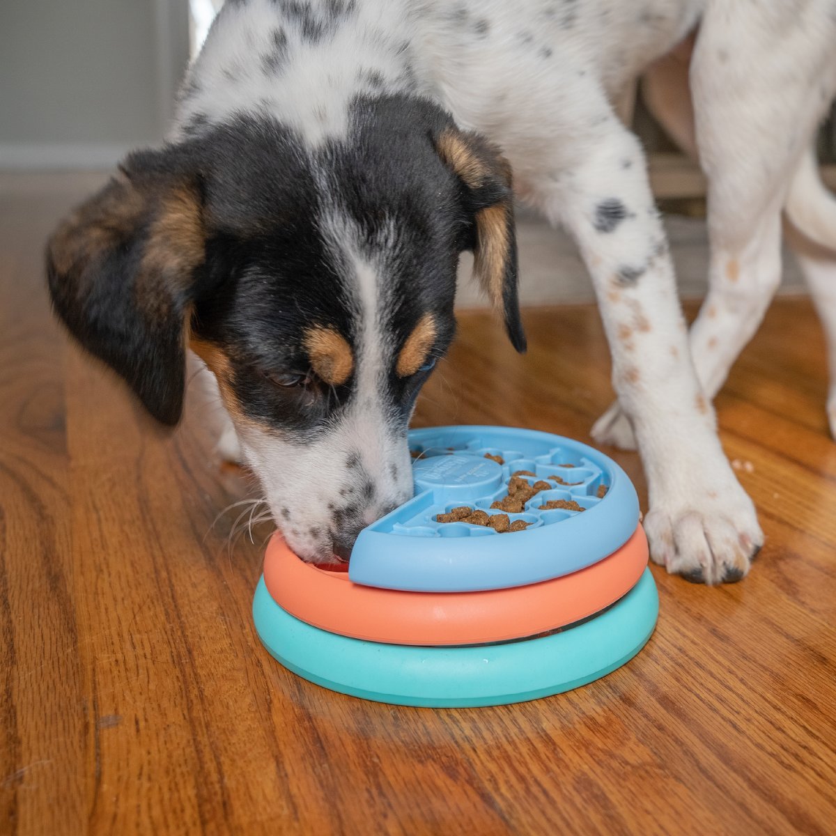 Puppy using the Nina Ottosson Puppy Lickin' Layers dog puzzle feeder for slower eating and enrichment